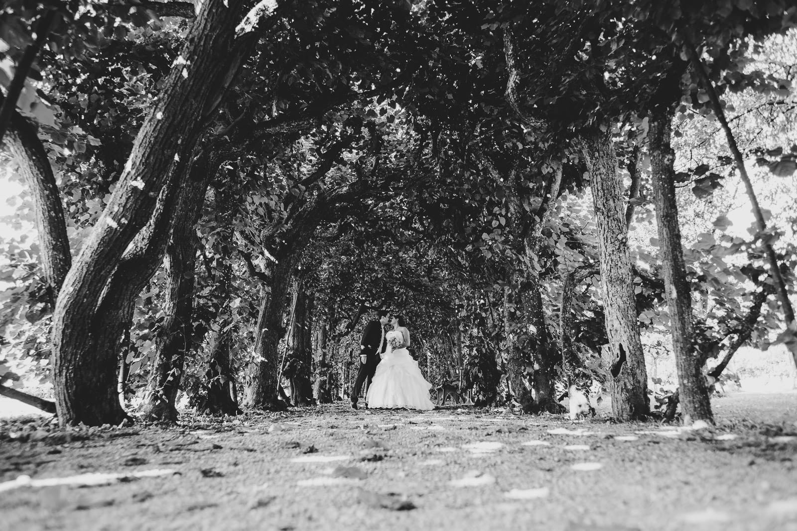 Hochzeitsfotograf Hofbräukeller | Hochzeitsfotograf München | Hochzeitsfotograf München Hochzeitsfotograf Hofbräukeller München - Hochzeitsfotograf Hofbräukeller - Hochzeitsfotograf Hofbräukeller